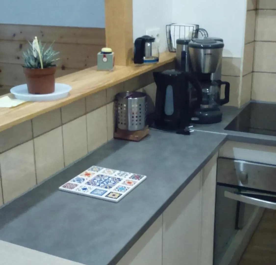 Appartement Cosy De 50M2, 2 Chambres Avec Terrasse, Plein Centre D'Ax-Les-Thermes Ax-les-Thermes